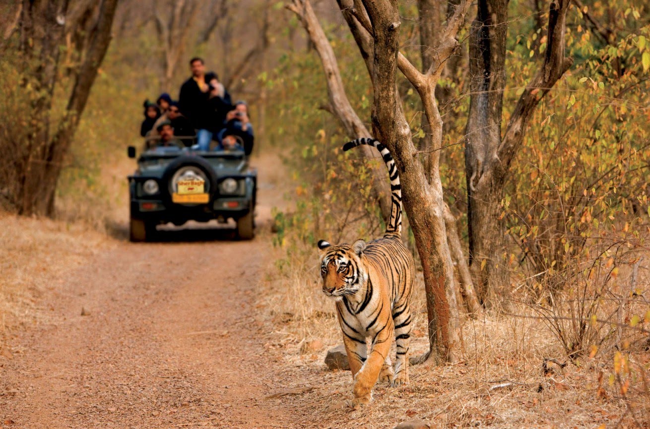 golden-triangle-ranthambore-tour