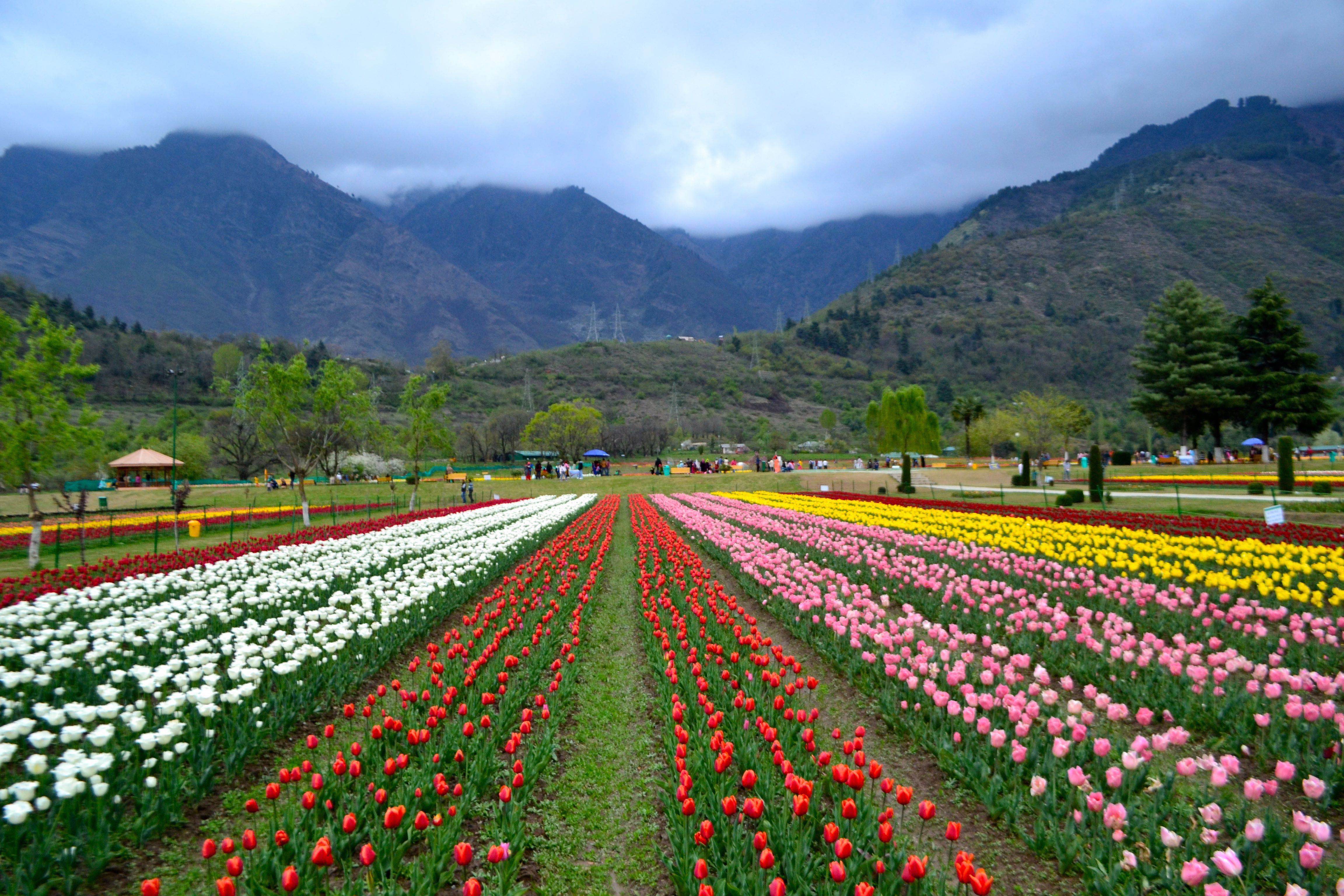 Kashmir-cultural-tour