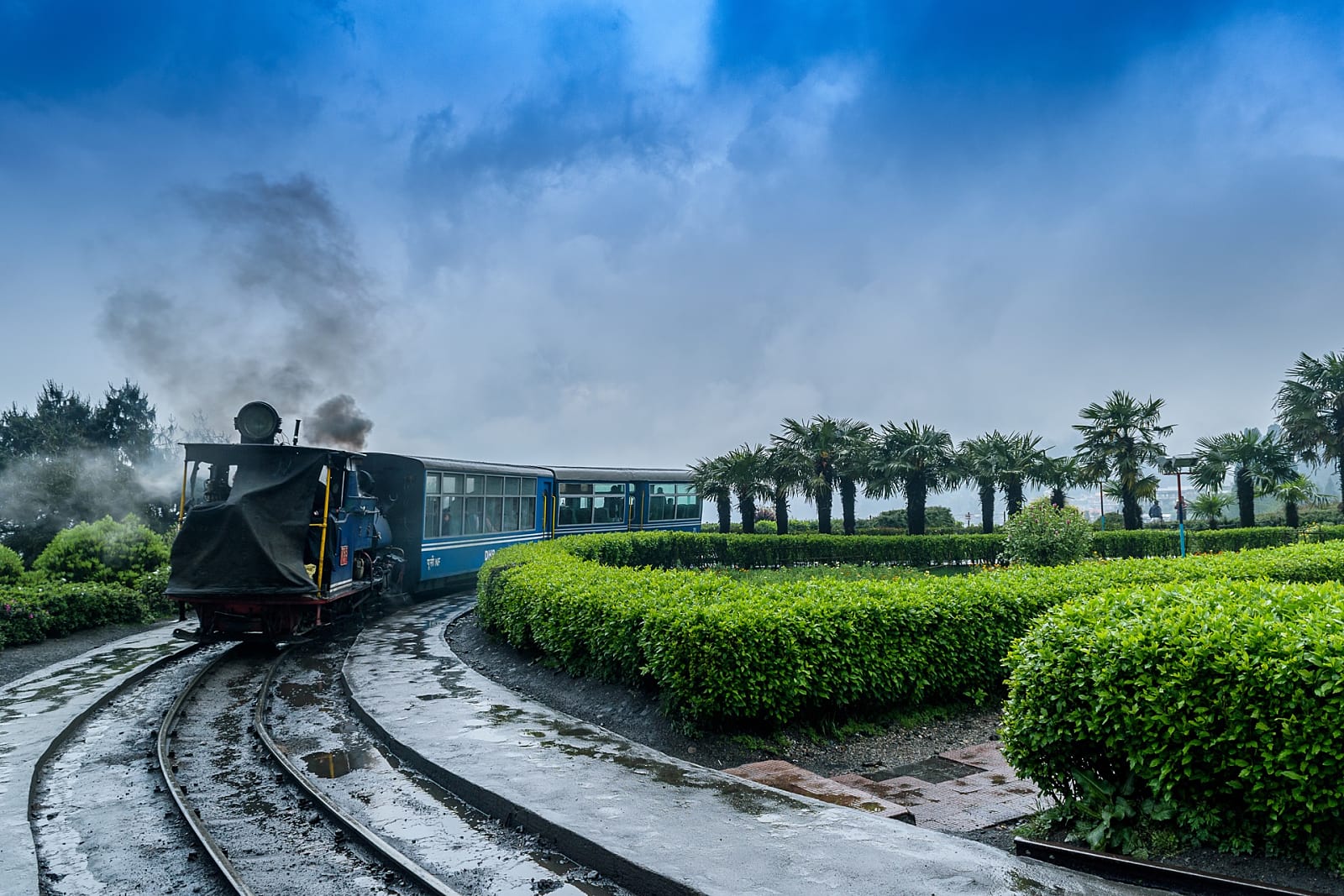 darjeeling-honeymoon