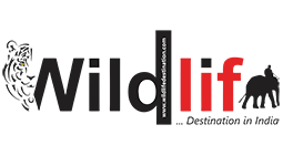 wildlifedestination-logo